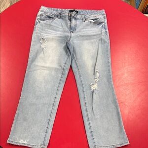 1822 Denim Blue Straight Wide  Leg Jeans, ankle length